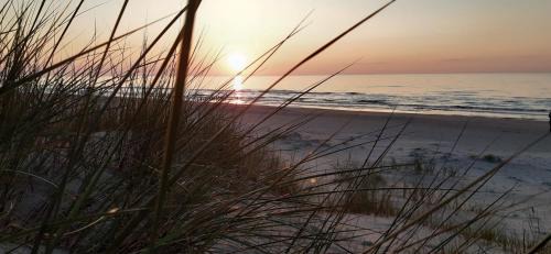 Lielirbe House | Randas2