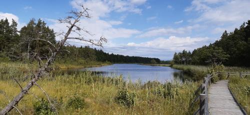 Lielirbe House | Randas2