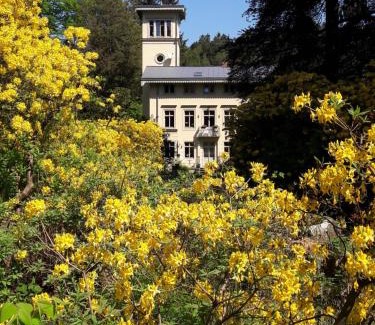 Rosenthal-Bielatal House | Rapunzel trifft Dornröschen