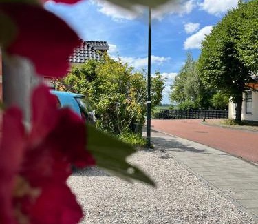 Eenrum Bed & Breakfast | Red Cat in Bed