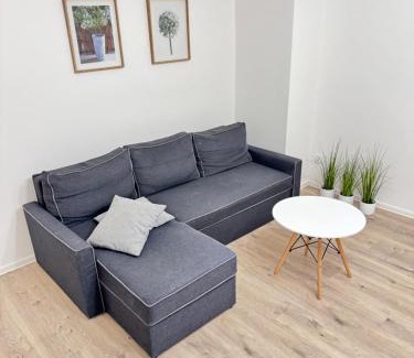 Srodmiescie Apartment | Red Cross Road Apartment