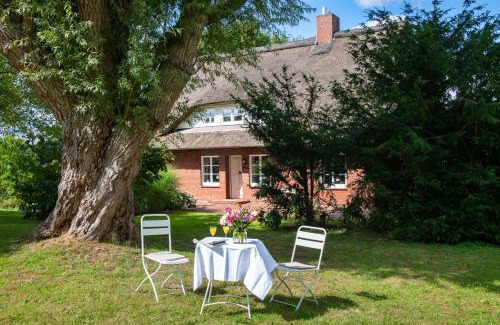 Breiholz House | Reetdachhaus Eiderblick