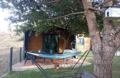 Marco de Canaveses Ski Chalet | Refúgio Da Pinheira