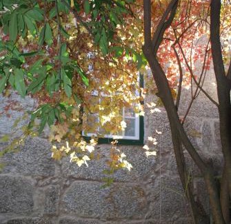 Covilha House | Refúgio de Calheiros