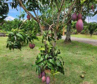 Chapada dos Guimaraes House | Refúgio junto a natureza