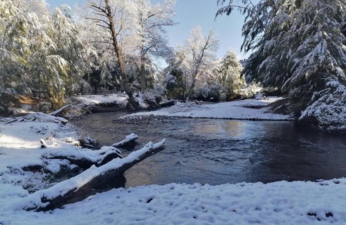 Curacautin House | Refugio Raki