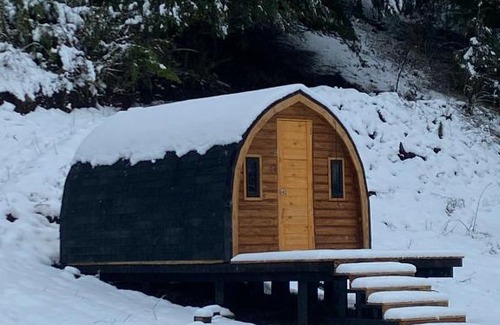 Curacautin House | Refugio Raki