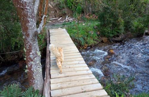 Valdivia Other | Refugio y Tinaja Curiñanco