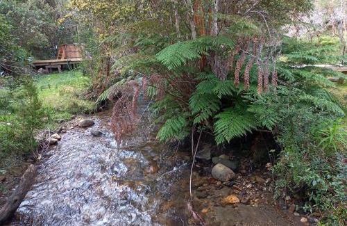 Valdivia Other | Refugio y Tinaja Curiñanco