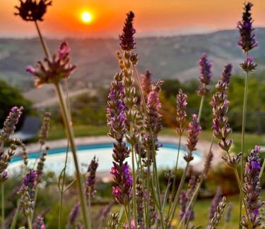 Cupramontana Villa | Refugium VERITAS - entire Villa with Pool