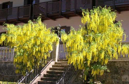 Masare Apartment | Regina 9