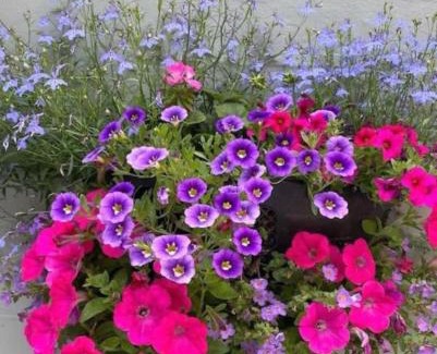 Coupar Angus Apartment | Reidochie Stables luxury haven overlooking garden