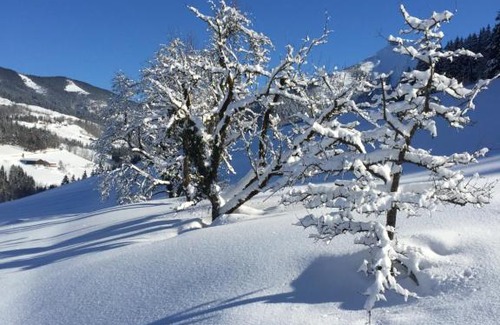 Krispl House | Reithütte