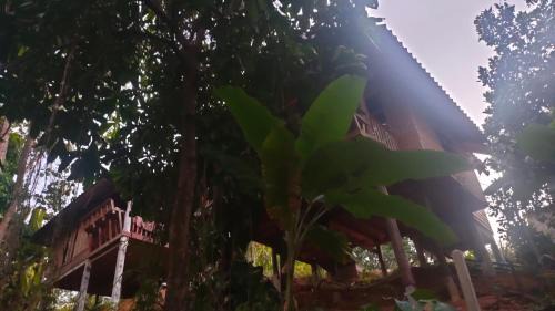 Ranong Resort | Relax House