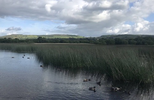 Mountshannon Cabin | Relax in a Unique and Cosy Off-grid Eco Sherpherd's hut Between Heaven and Earth