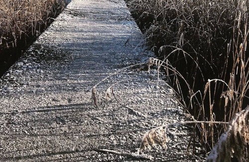 Mountshannon Cabin | Relax in a Unique and Cosy Off-grid Eco Sherpherd's hut Between Heaven and Earth