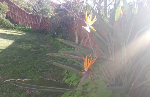 San Marcos House | Relax in lush tranquilty