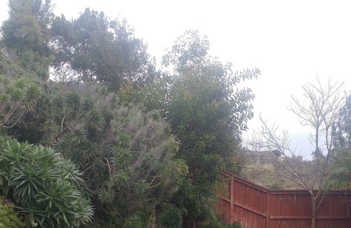 San Marcos House | Relax in lush tranquilty