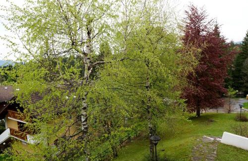 Gallio Apartment | Relax sull'Altopiano di Asiago