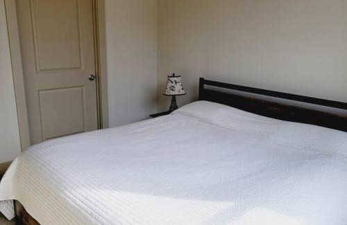 Astrodome Apartment | Relaxing Pool View Apt Reliant Stadium/Medical Center