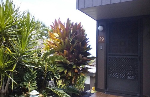 Punaluu Condo | Relaxing Studio Condo Getaway, Minutes From Black Sand Beach *Newly Renovated*