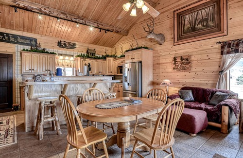 Alpine Village House | Remodeled, Dog-Friendly Cabin w/Large Fenced Yard, WiFi & W/D - Great for ATVs
