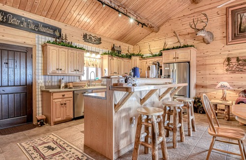 Alpine Village House | Remodeled, Dog-Friendly Cabin w/Large Fenced Yard, WiFi & W/D - Great for ATVs