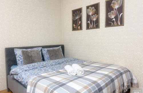 Riscani Apartment | RentHouse Apartments Metropolis