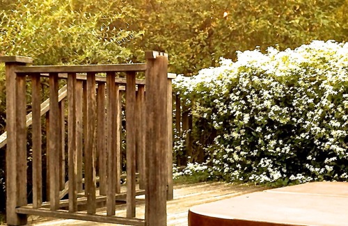 Glendale House | Renting for 31+ days; Competitive pricing, Cozy, Scenic, Quiet, area.