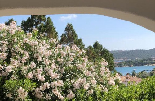 Liscia di Vacca Apartment | Residence Gli Oleandri 140 - Costa Smeralda - Porto Cervo