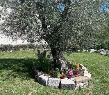 Busso Apartment | Residence San Martino Appartamento mini