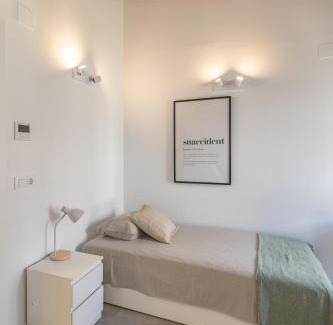 La Seu Other | Residencia Universitaria Trinitarios