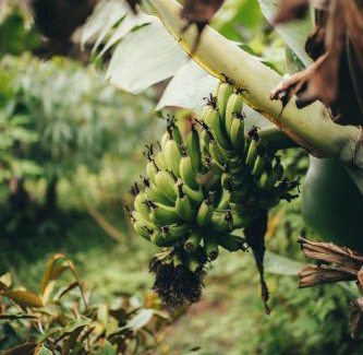 Velas Other | Retiro Atlântico