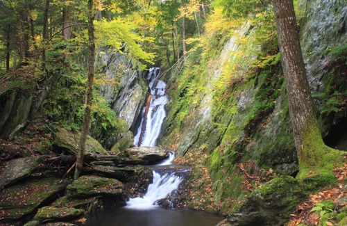 Savoy House | Retreat In The Woods