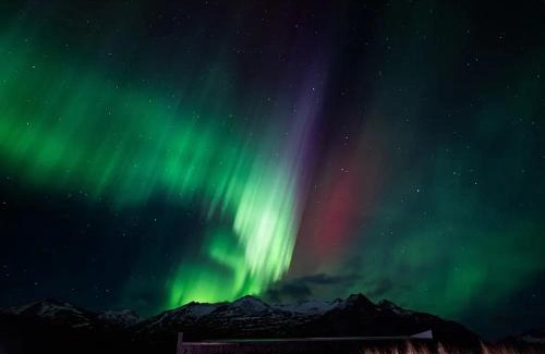 Hornafjörður Apartment | REY Stays - House