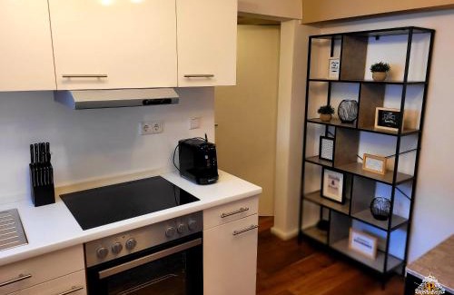 Vallendar Apartment | Rhein Apartment Souterrain Study