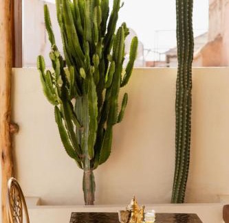 Medina Hotel | Riad Rahal