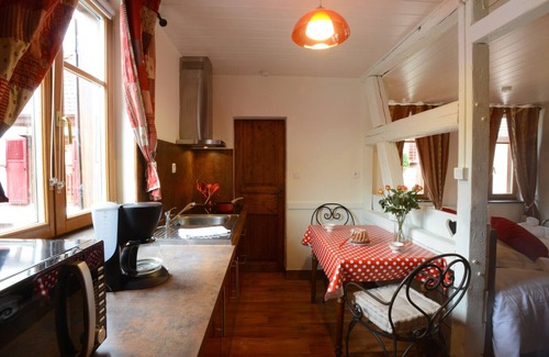 Ribeauville Apartment | RIBEAUVILLE city center - Gîte des Ménétriers, LE RIESLING - TripAlsace