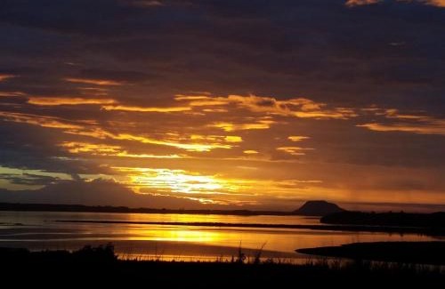 Aongatete Bed & Breakfast | RIDGETON