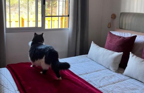 Puimayen House | Rincon de los Michis