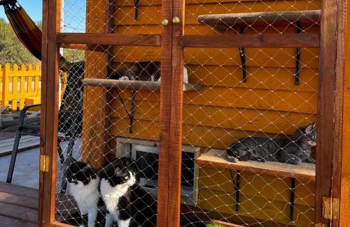 Puimayen House | Rincon de los Michis