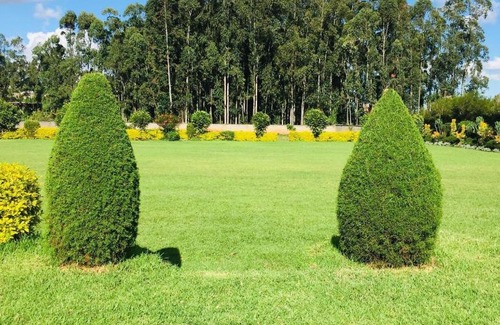 Kiambu Bed & Breakfast | Rio Breeze