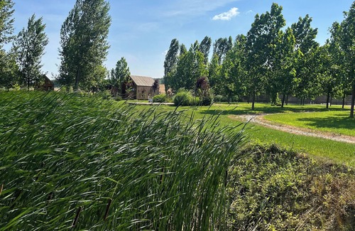 Kovilj Cabin | Ritopia Glamping