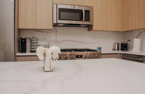 Near North Side Apartment | River North Private Balcony With In and Out Parking