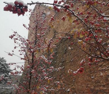 Arignano Hotel | Rocca di Arignano
