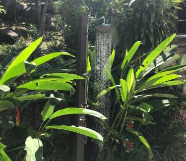 Mahe Island Apartment | Rock and Palm Lodge Self catering appartment