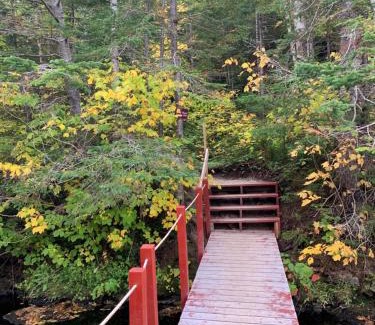 Pinehouse Hotel | Rocky Brook Acres, Andy