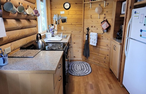 Winthrop Cabin | Rocky Top - Dog Friendly Cute and Cozy Log Cabin!