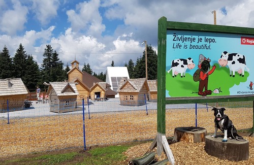 Paka Apartment | Rogla-Apartment Kekec , for nature lovers, 1400m above the sea level