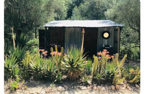 Tortosa Ski Chalet | rolling home